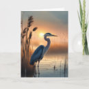 Search for great blue heron cards Outdoors