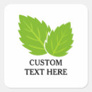 Search for mint leaves stickers Green