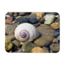 Search for moon shell Rocks