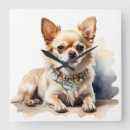 Search for tiny clocks Dog