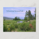 Search for meadow postcards Nature