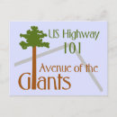 Search for avenue postcards Souvenir