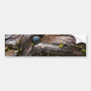 Search for colour image bumper stickers Nature