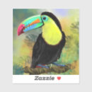 Search for toucan bird stickers Colourful