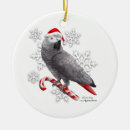 Search for african grey parrot christmas tree decorations Bird