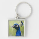Search for peacock photo key rings Bird