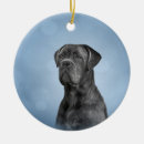 Search for cane corso christmas tree decorations Cute