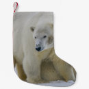 Search for polar bear christmas stockings Nature