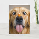 Search for funny halloween cards Dog