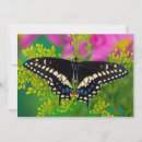 Search for papilio cards Yellow