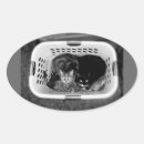 Search for kitty oval stickers Cats