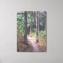 Search for trails art Path