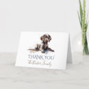 Search for german shorthaired pointers cards Pet