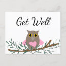 Search for get well soon owl Cute