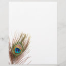 Search for feathers flyers Nature