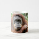 Search for cute zoo animals mugs Monkey