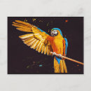 Search for ara postcards Colourful