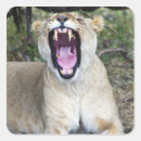 Search for masai stickers Kenya