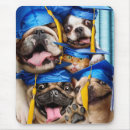 Search for graduation mousepad mouse mats Funny