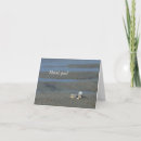Search for seashell photography cards Tropical