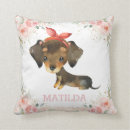 Search for dachshund cushions Whimsical
