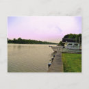 Search for bayou postcards Trees