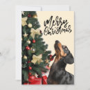 Search for badger christmas cards Festive