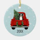 Search for aussies christmas tree decorations Dog