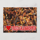 Search for grasshoppers postcards Funny