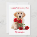 Search for golden retriever valentines day cards Pet