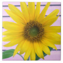 Search for summer sunflower tiles Country