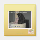 Search for share magnets I can has cheezburger