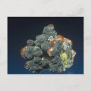 Search for natural science postcards Crystal