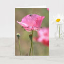 Search for poppy cards Floral