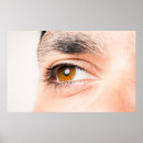 Search for closeup posters Eye