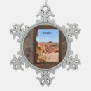 Search for red rocks christmas tree decorations Valley of fire