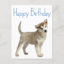 Search for alaskan malamute gifts Puppy