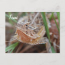 Search for horny postcards Toad