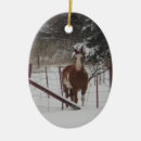 Search for equine christmas tree decorations Winter