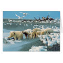 Search for interaction postcards Alaska