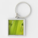 Search for wet key rings Outdoors