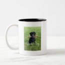 Search for sticks mugs Sport