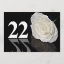 Search for 22 year old birthday Party