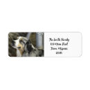 Search for aussie return address labels Cute