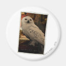 Search for hedwig magnets J k rowling
