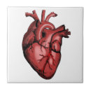 Search for anatomy tiles Medical