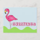 Search for pretty bird postcards Flamingo