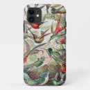 Search for cell biology iphone cases Ernst haeckel