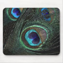 Search for plumage mouse mats Nature