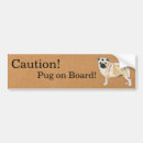 Search for pet pug bumper stickers Puppy